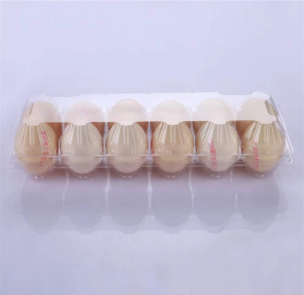 Middle size Plastic Egg Carton for 12 Eggs Chicken Egg Cartons Clear Chicken Egg Tray Disposable Plastic Egg Holder Empty Egg Container for Refrigerator Fresh Farm Storage